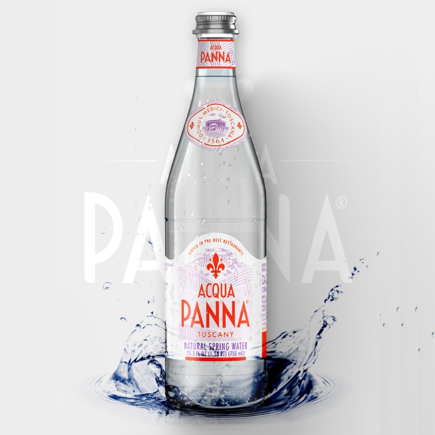 AGUA MINERAL PANNA 500 ML